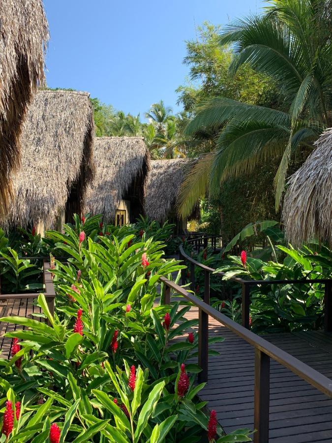 Casa Bambu Tayrona, Los Naranjos Exteriér fotografie