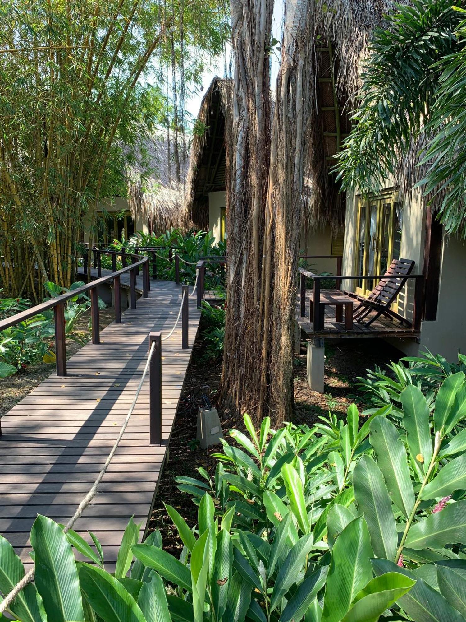 Casa Bambu Tayrona, Los Naranjos Exteriér fotografie